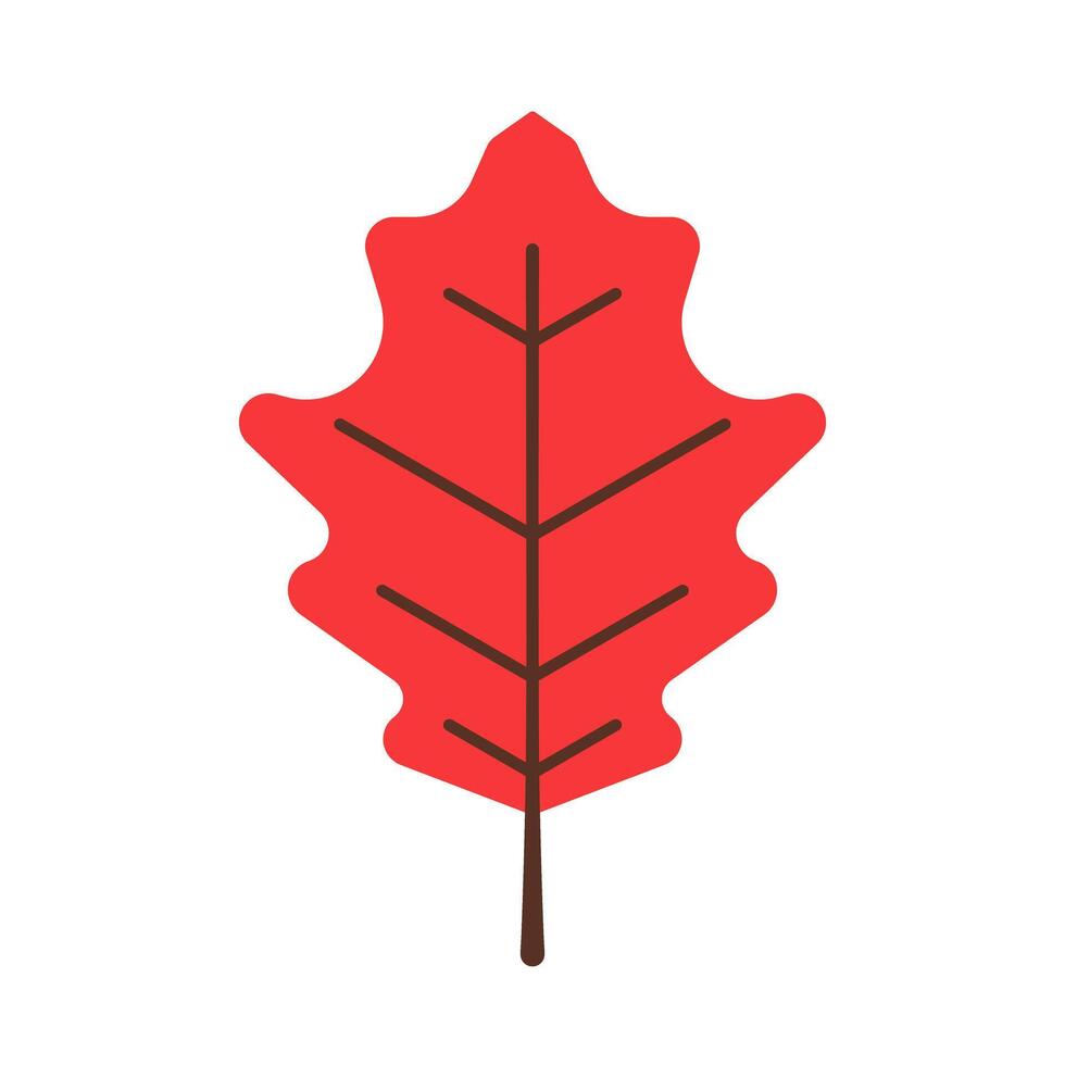 A red maple leaf on a white background vector