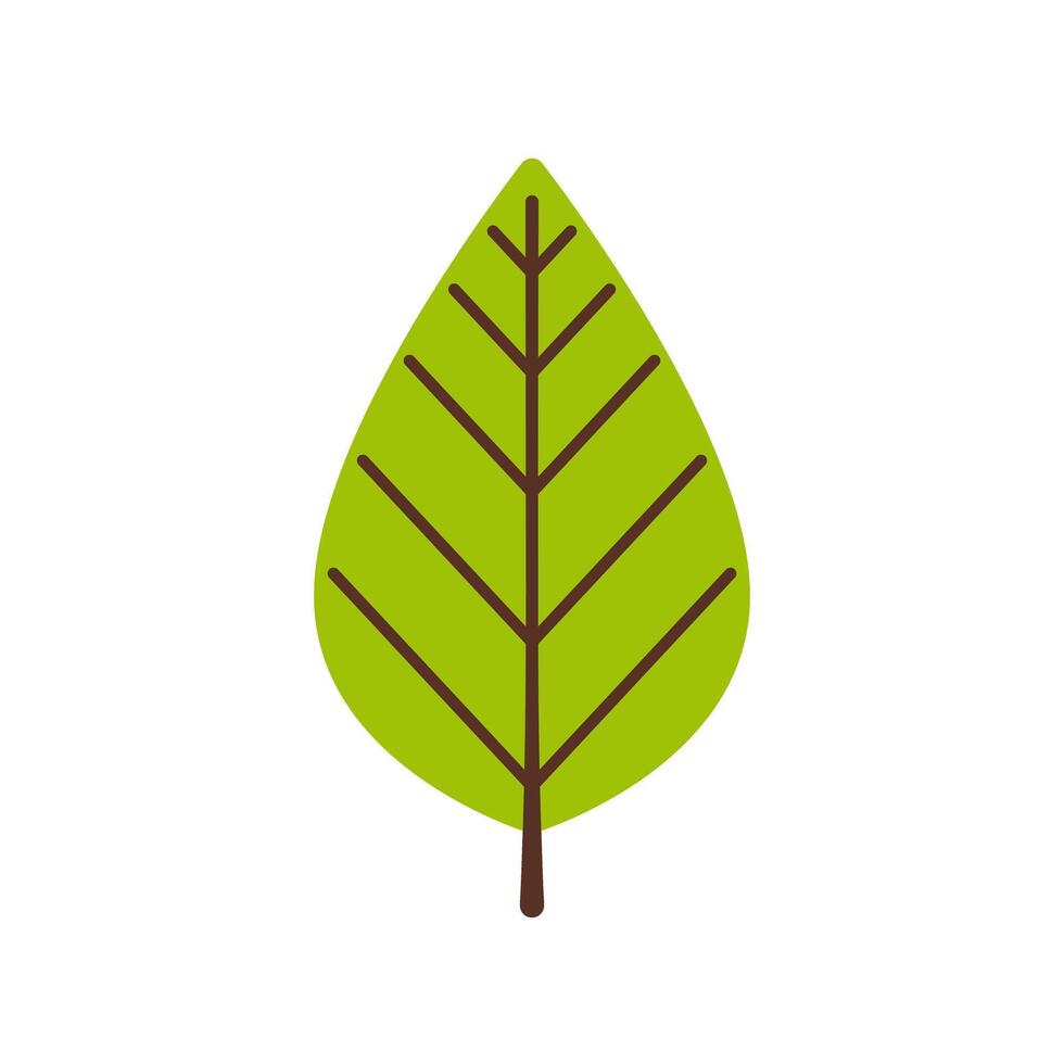 A green leaf icon on a white background vector
