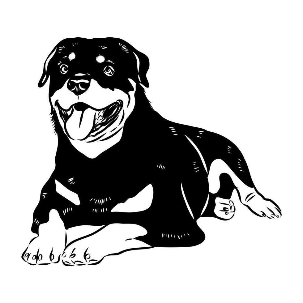 A rotweiler dog is sitting down in a black and white drawing vector