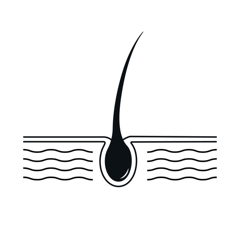 Black Hair Follicle Icon vector