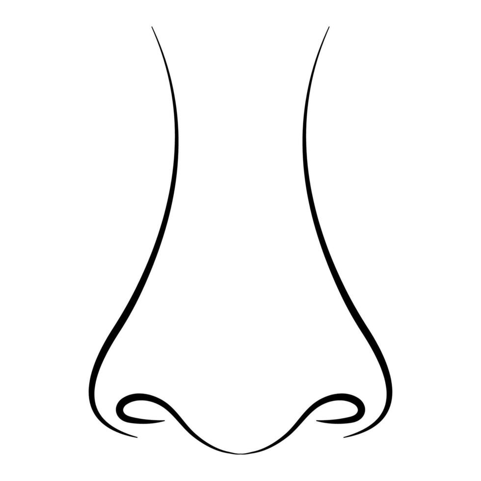 Human Nose Outline, Front View anatomy face body organ Nose vector