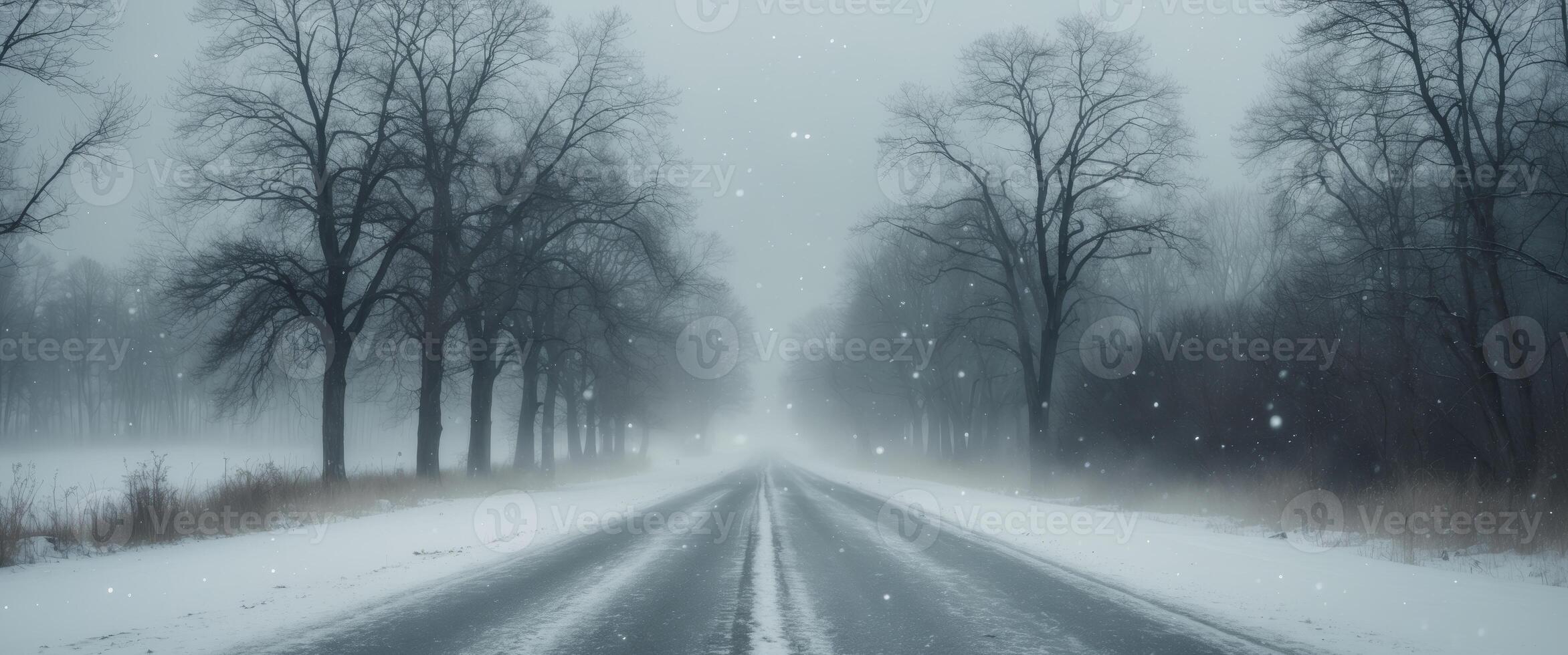 A snowy road with trees in the background photo