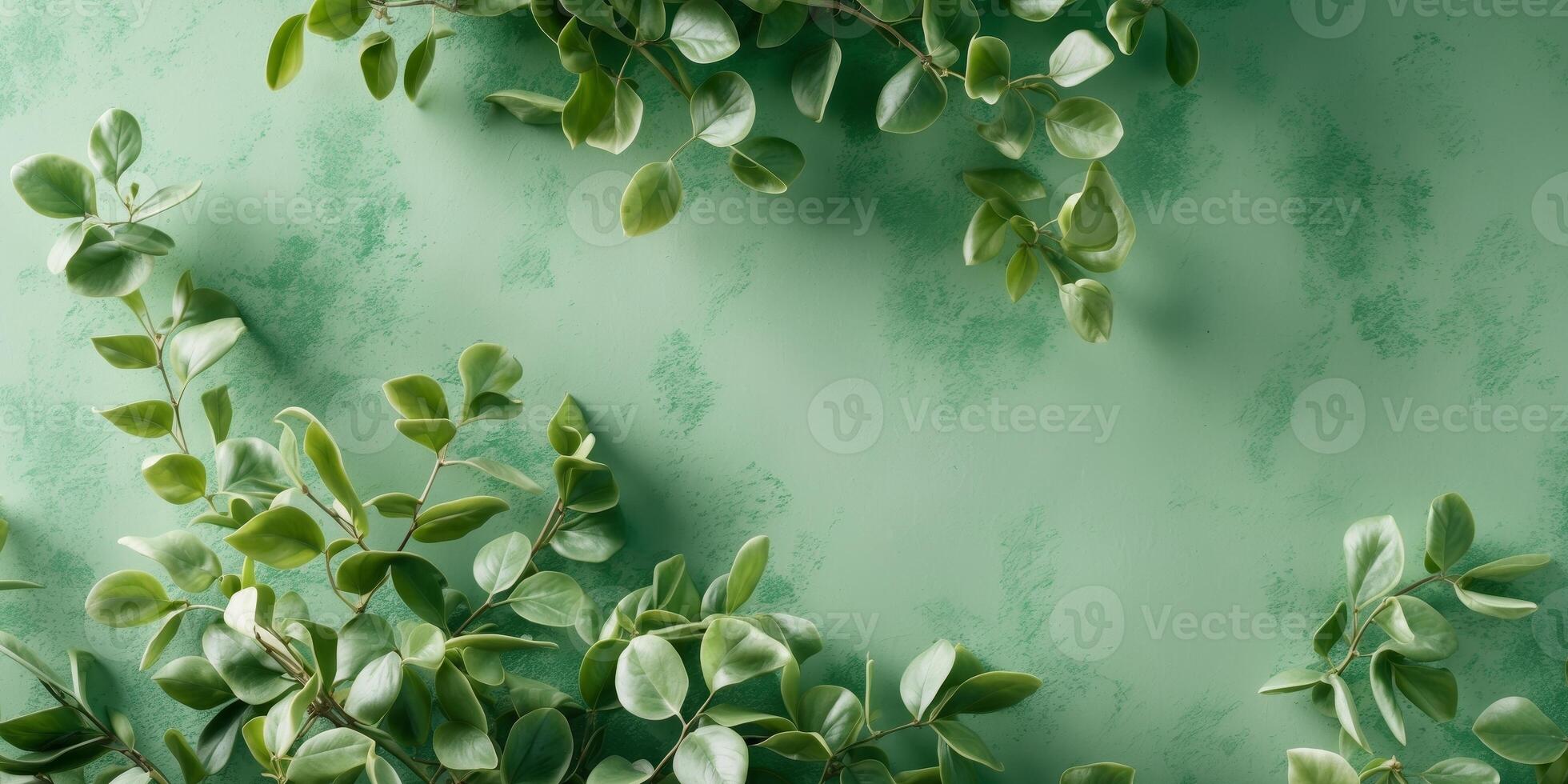 Rich Emerald Green Wallpaper with Soft Texture and Greenery photo