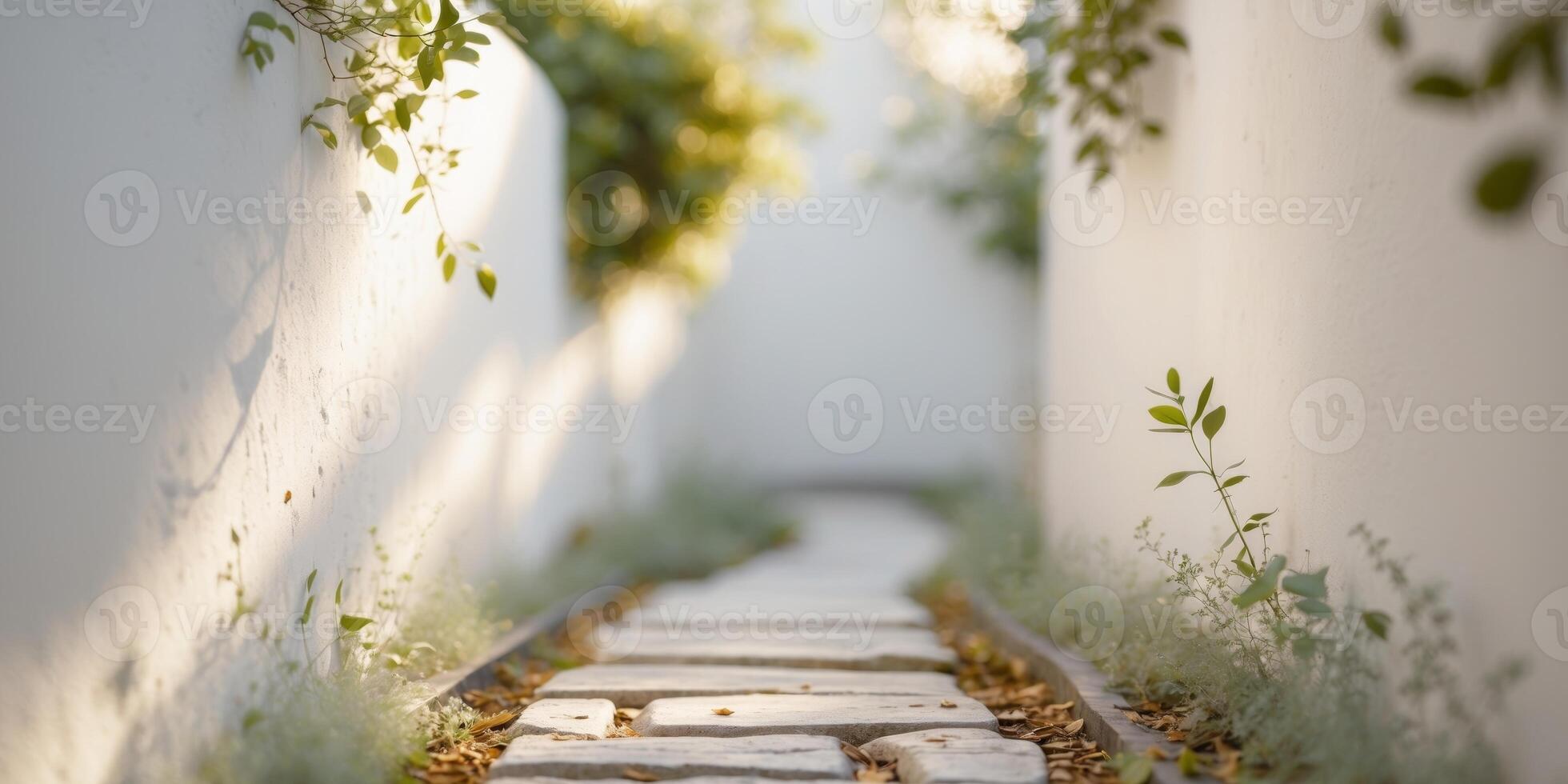 Calming Garden Path with Natural Textures photo