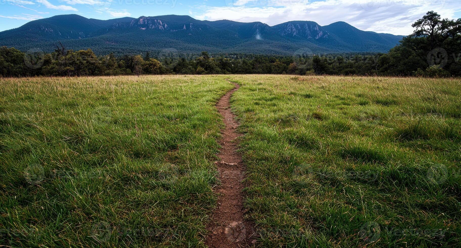 A dirt path through a grassy field leads to a mountain range in the distance photo