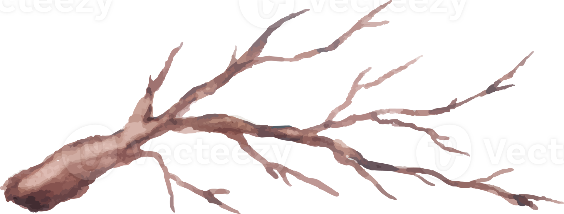 a tree branch with no leaves on it illustration png