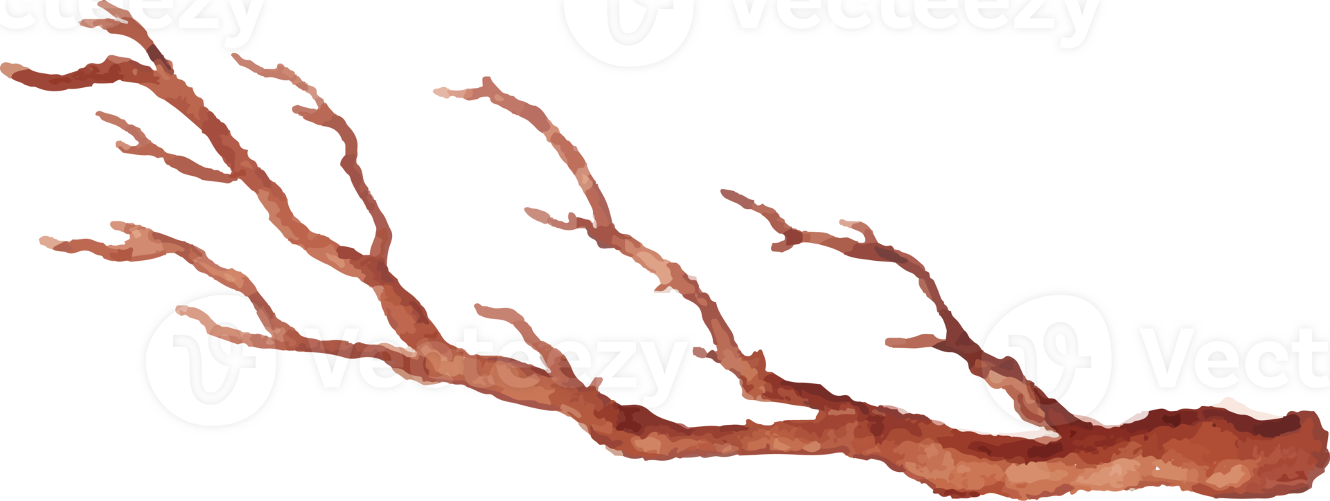 hand drawn of a branch with no leaves on it png