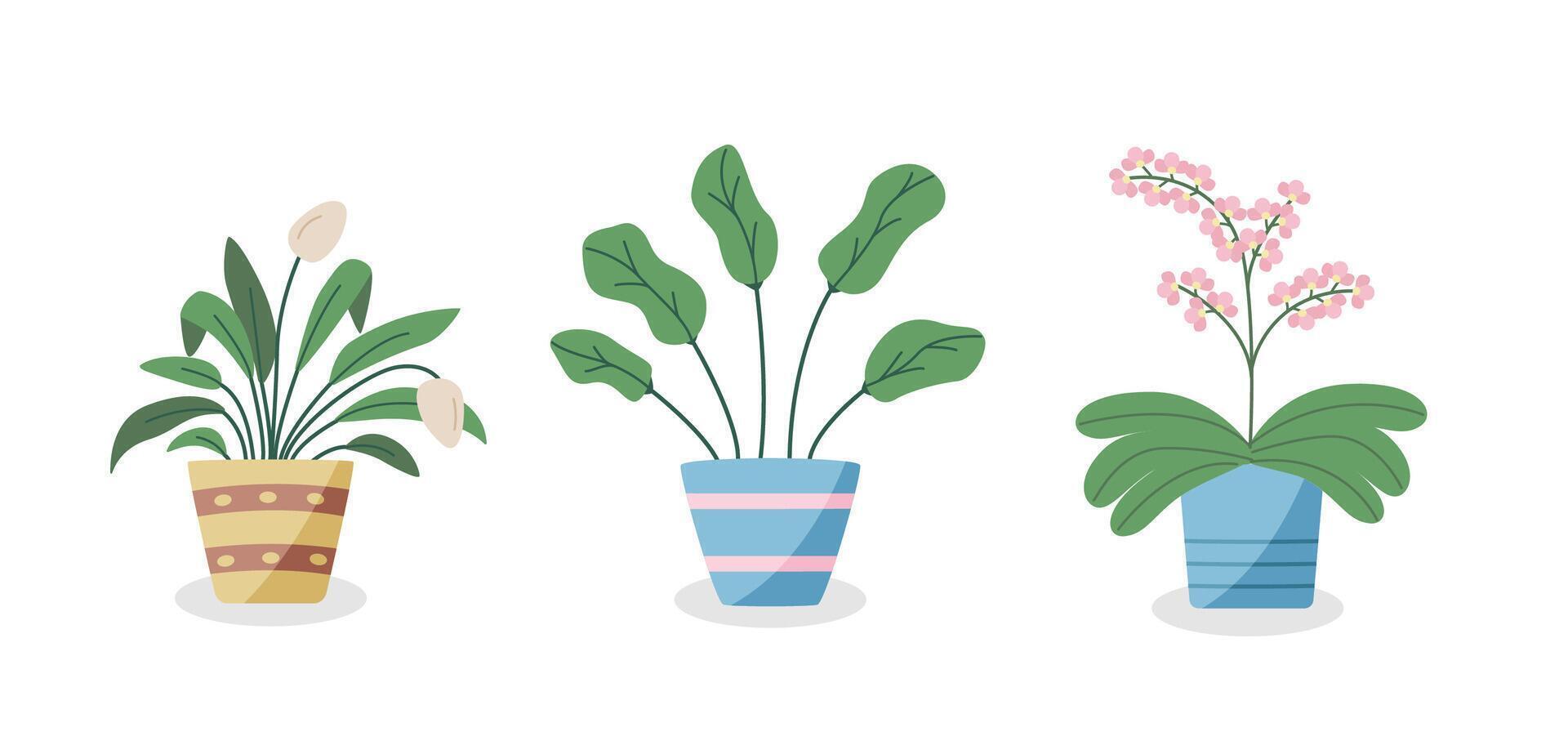 Cartoon flowers in pots. indoor plants for the interior. vector