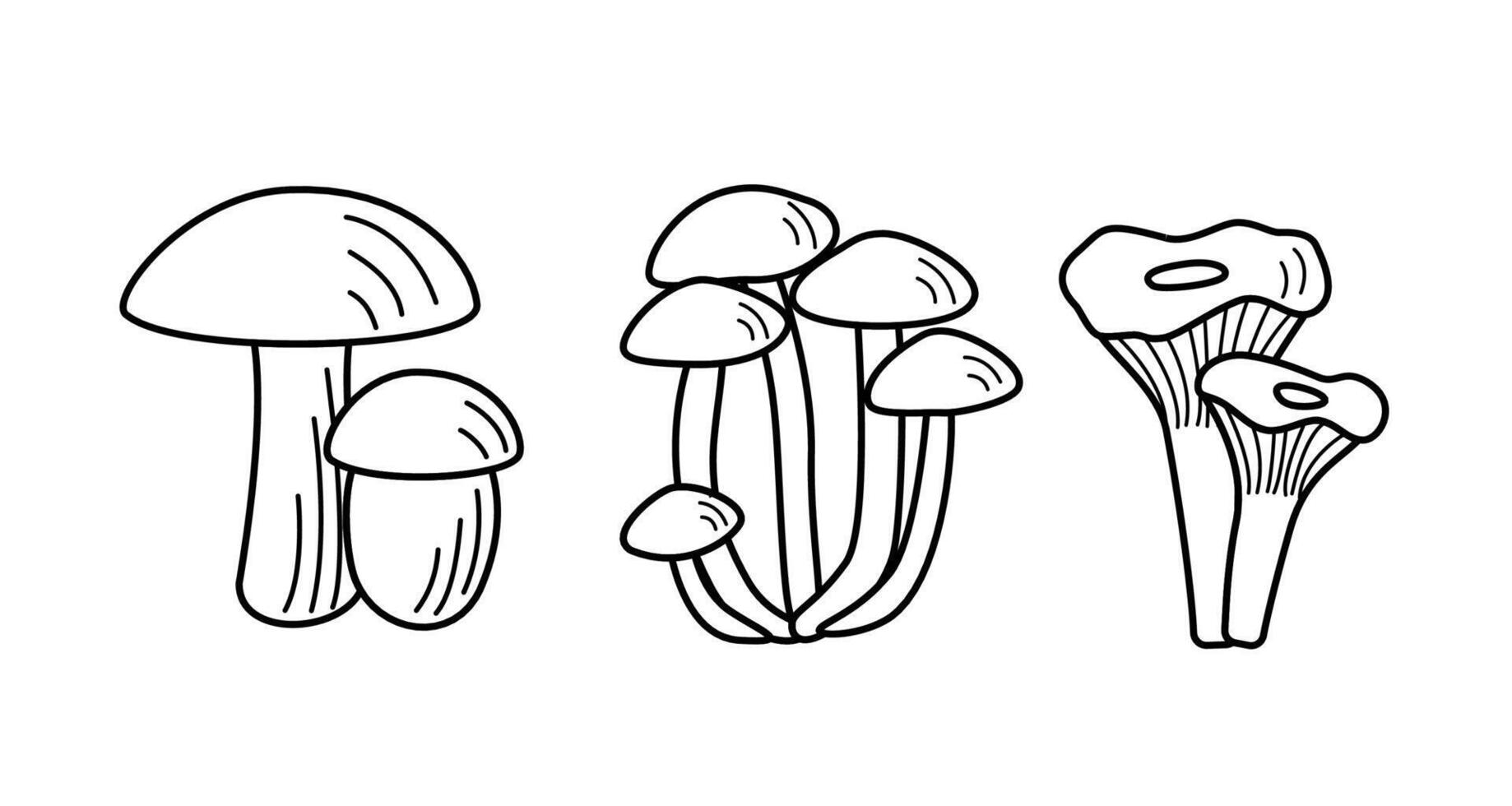Set of mushroom icons . boletus, chanterelles, honey mushrooms, champignons, aspen mushroom and russula. vector