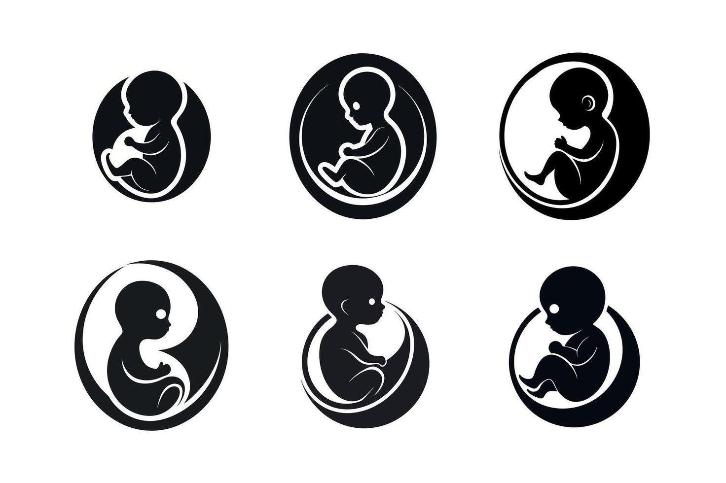 developing fetuses in the womb vector