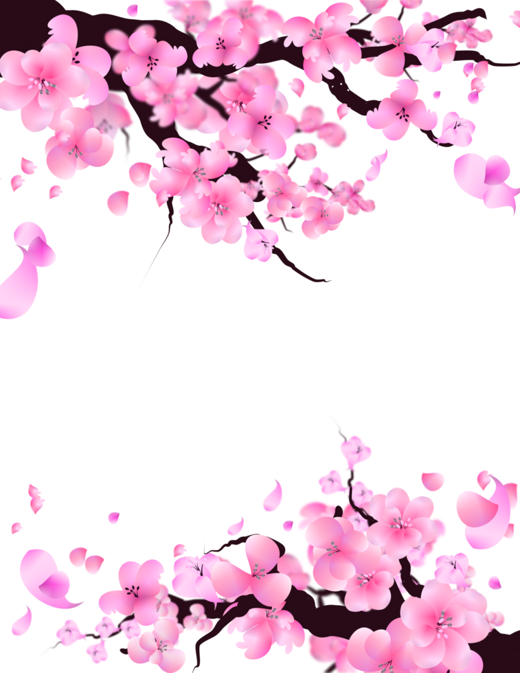 Cute Flowers Blossom Frame, Floral Branch Border, Falling Petals Background. png