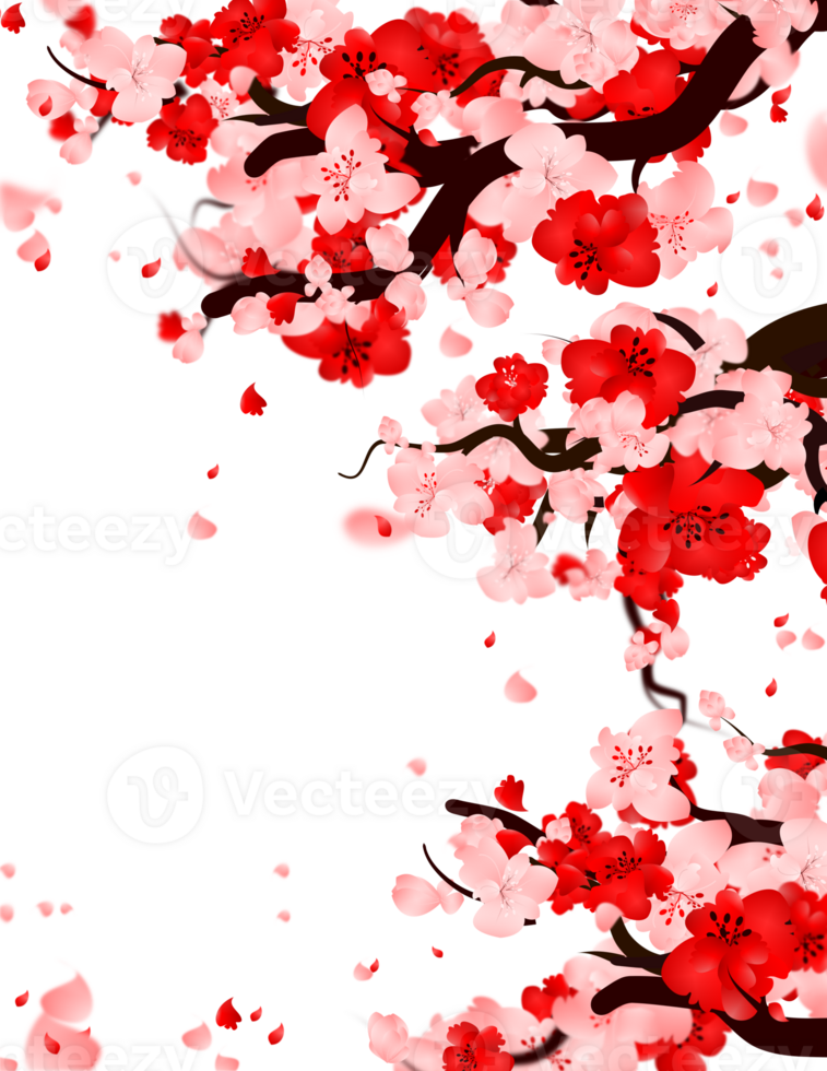 Cherry blossom background, Sakura tree frame border, Spring falling petals illustration. png