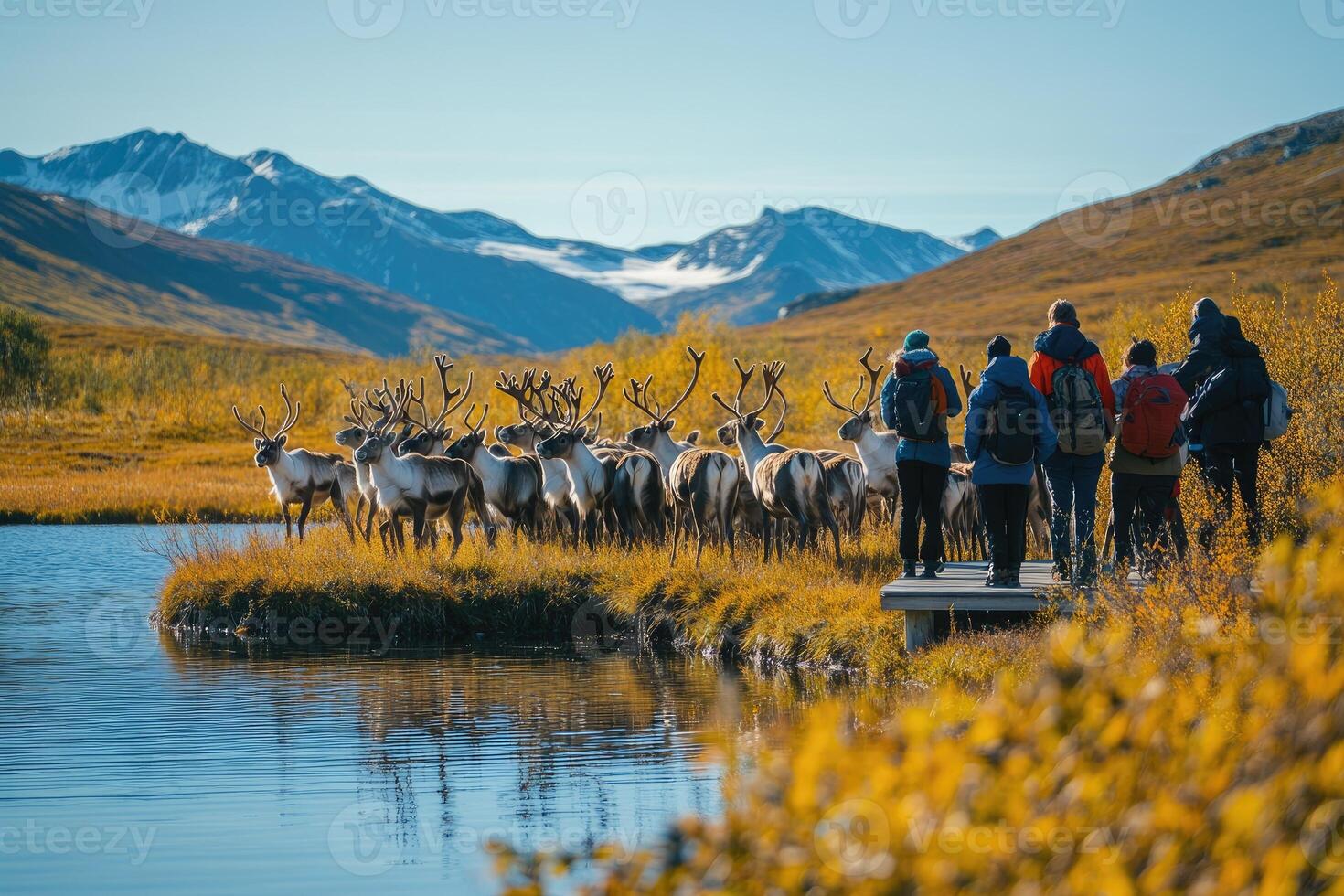 Hikers observing reindeer herd by lake in mountain valley photo