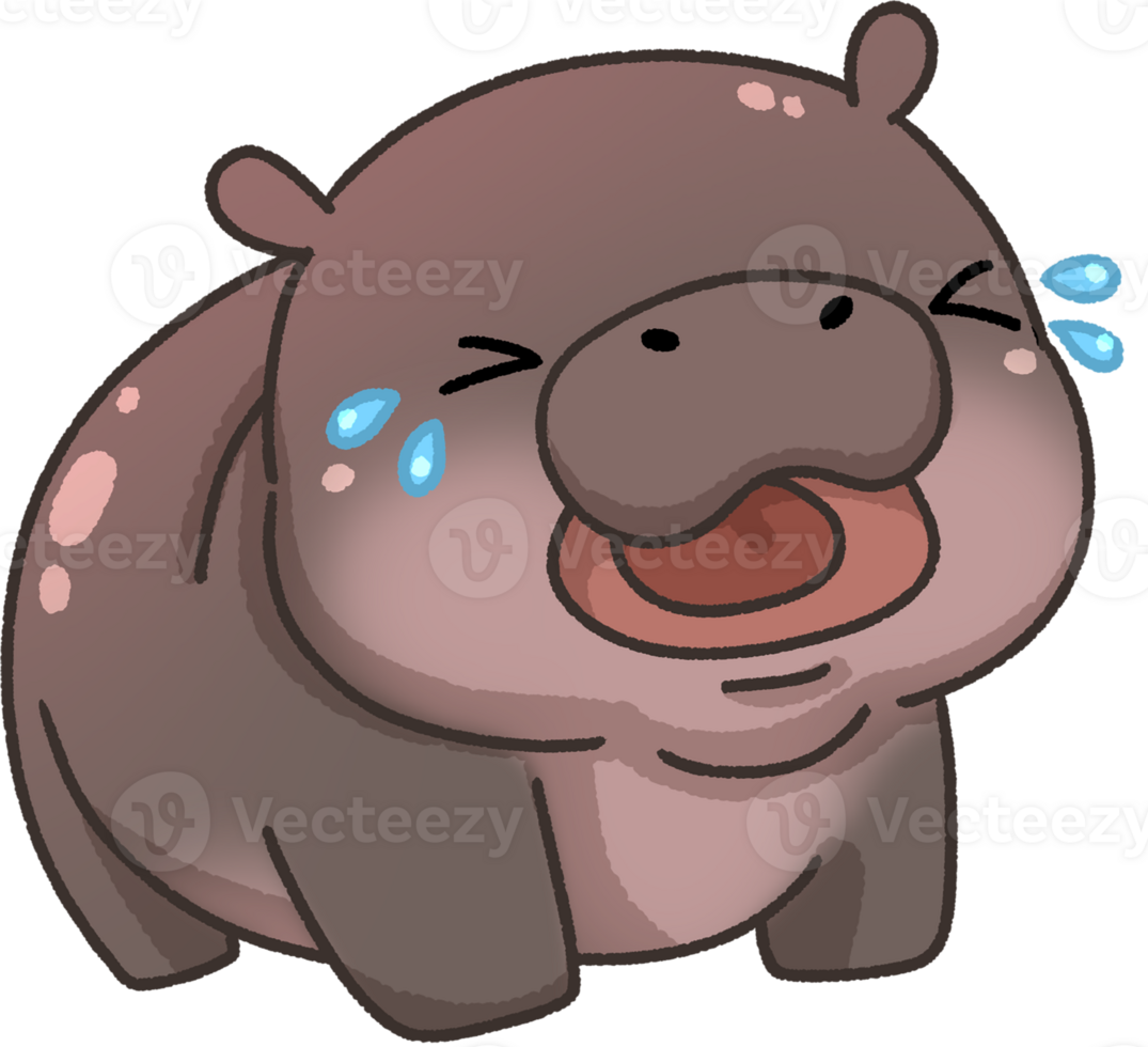 Cute Pygmy Hippopotamus cartoon png