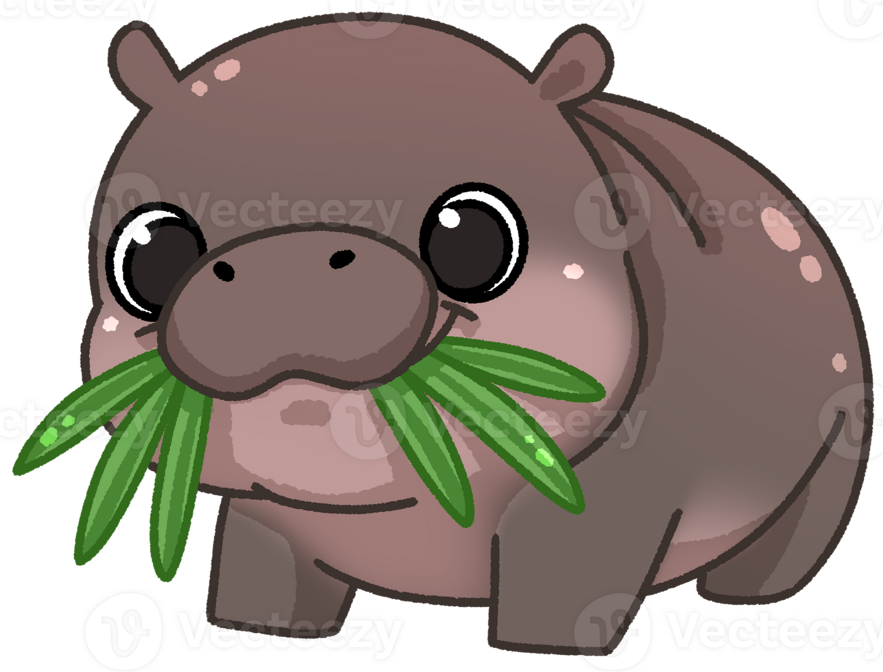 Pygmy Hippo cartoon illustration painting png