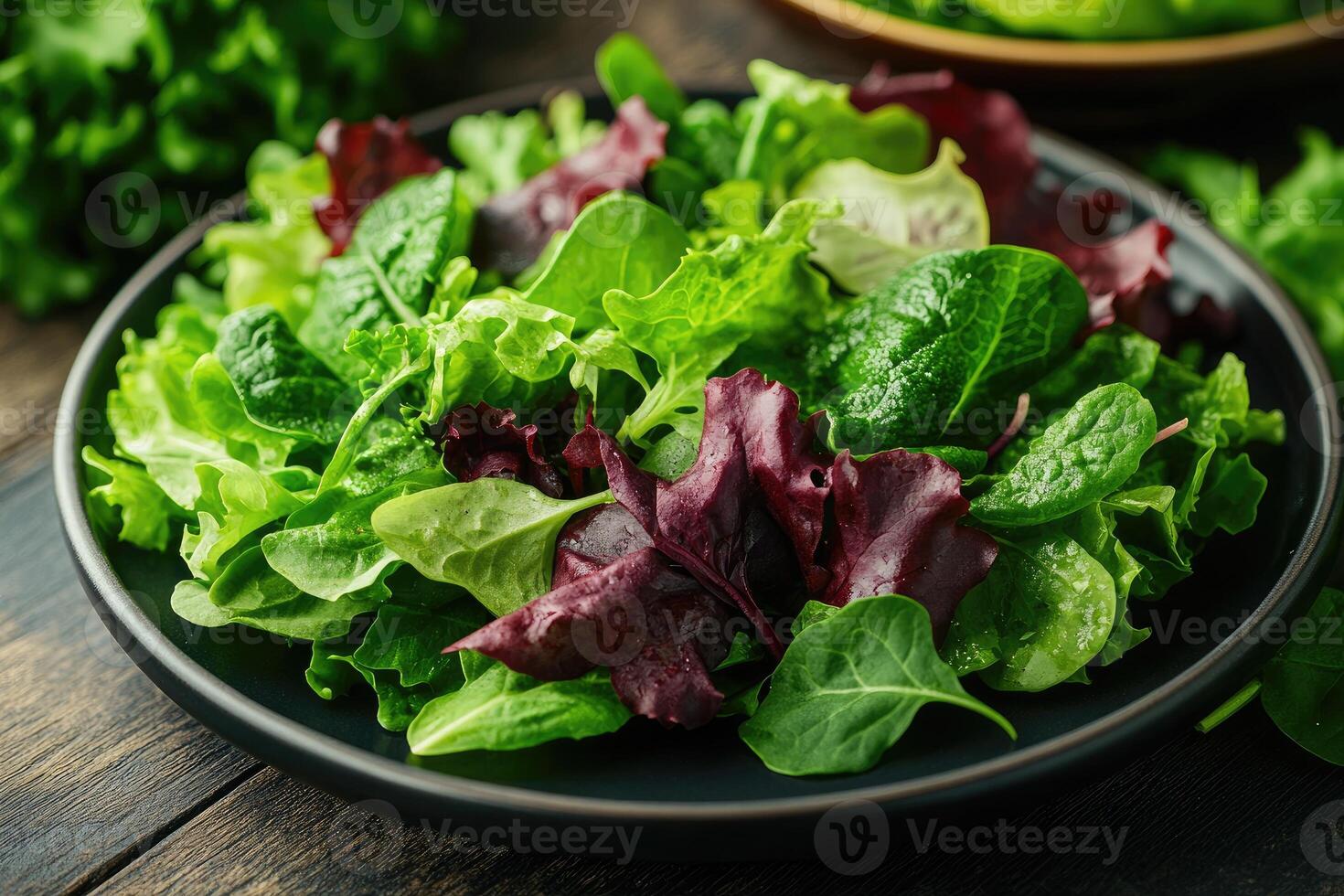 Fresh green and red lettuce salad mix on dark plate photo