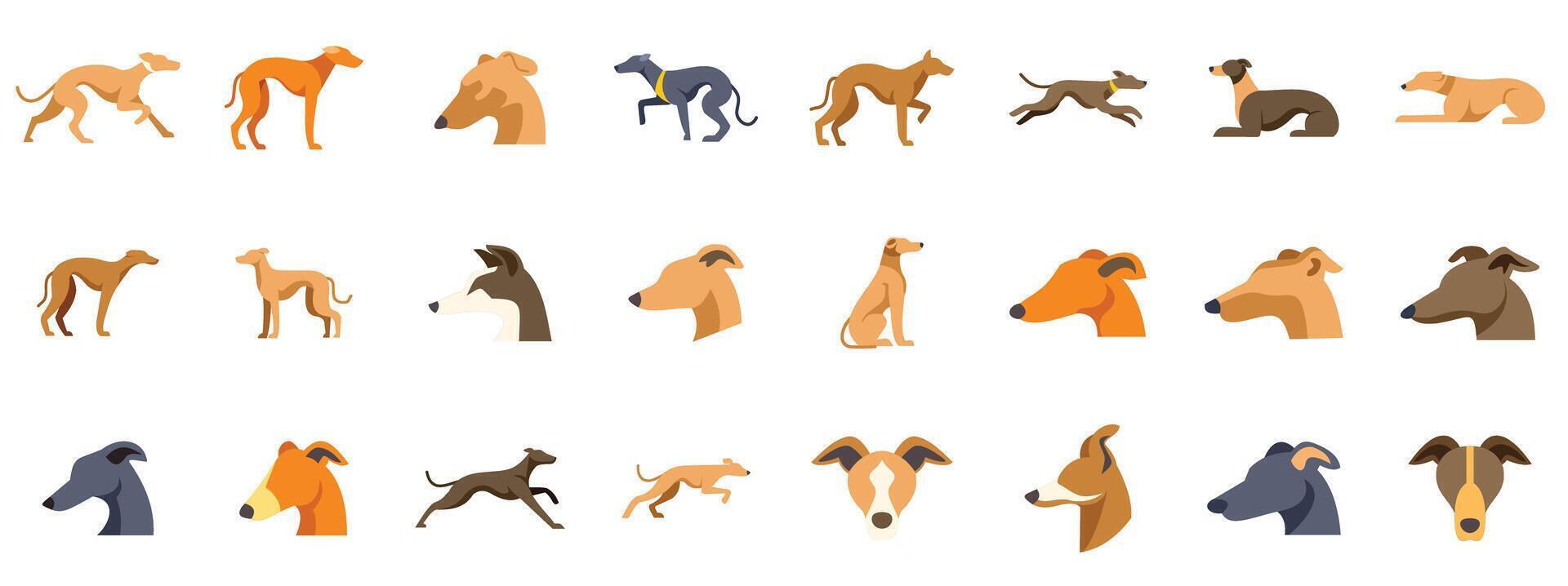 Italian greyhound posing and running in different styles vector