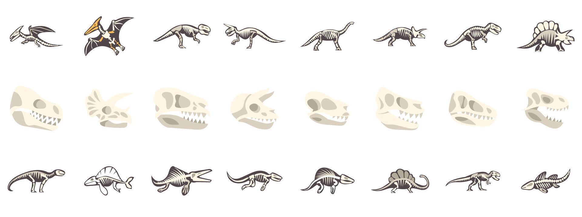 Dinosaur skeletons and skulls walking and flying, paleontology collection vector