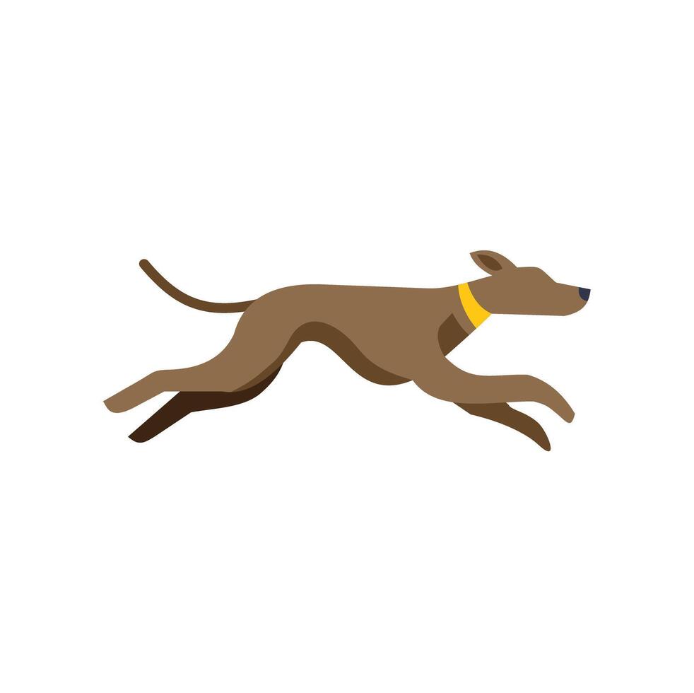 Brown greyhound dog running fast wearing yellow collar vector