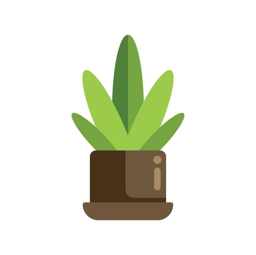 Green plant growing in a brown pot with saucer, botany illustration vector