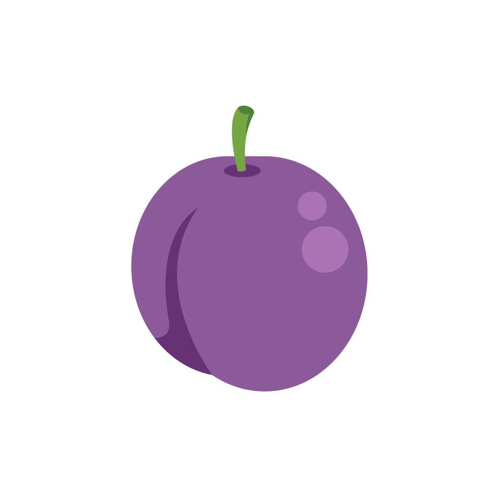Fresh purple plum with green stem on white background vector
