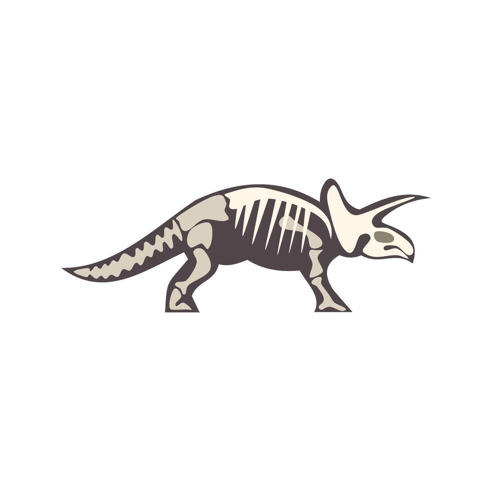 Triceratops skeleton walking side view, paleontology and prehistoric life vector