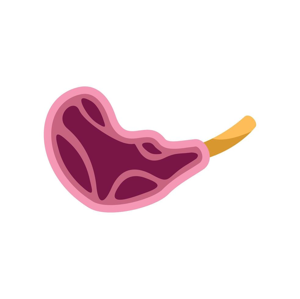 Juicy cartoon steak icon representing food and protein vector