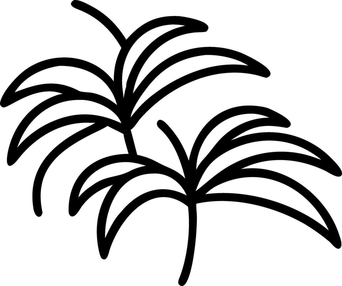 Green palm leaves on isolated transparent background Tropical plant concept vector