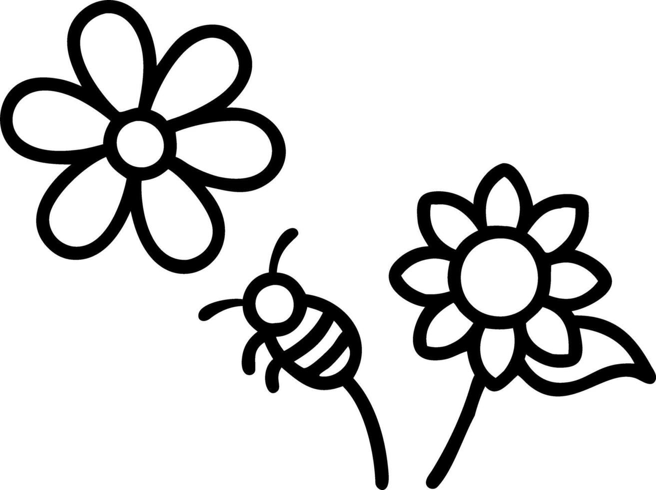 Bee gathers nectar from white chrysanthemum flowers in autumn garden highlighting pollination and natural beauty Set 2 vector