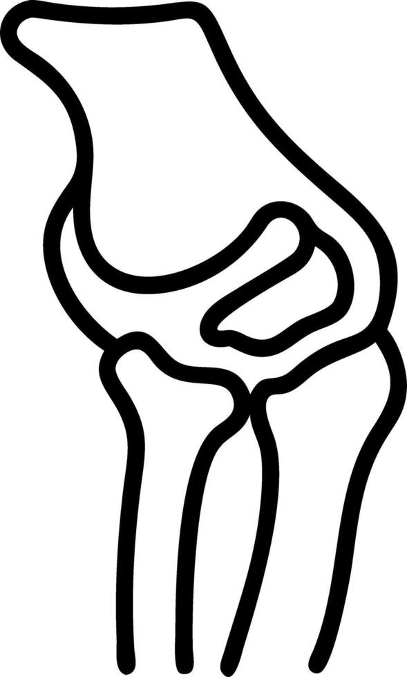 Detailed visualization of to human knee joint showcasing its anatomy and movement in to dynamic and colorful manner vector