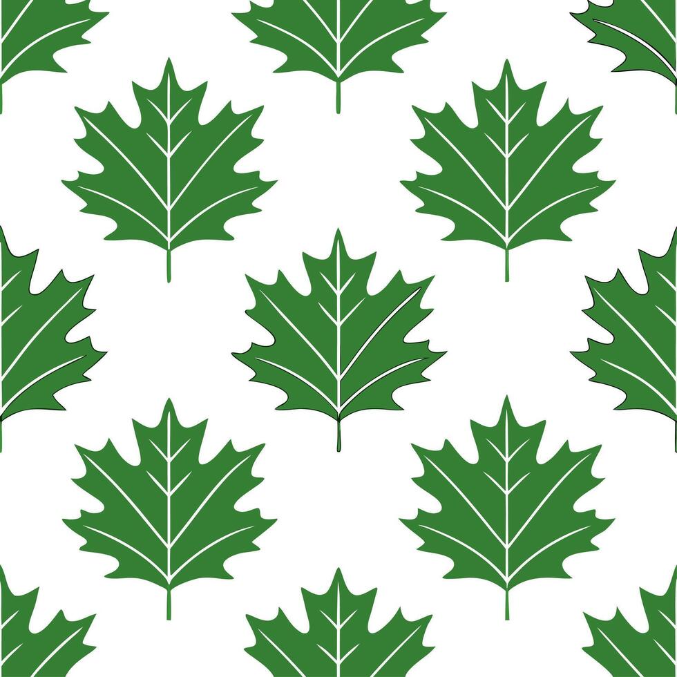 Classic summer leaves seamless pattern with oak and maple leaves for traditional summer aesthetics vector