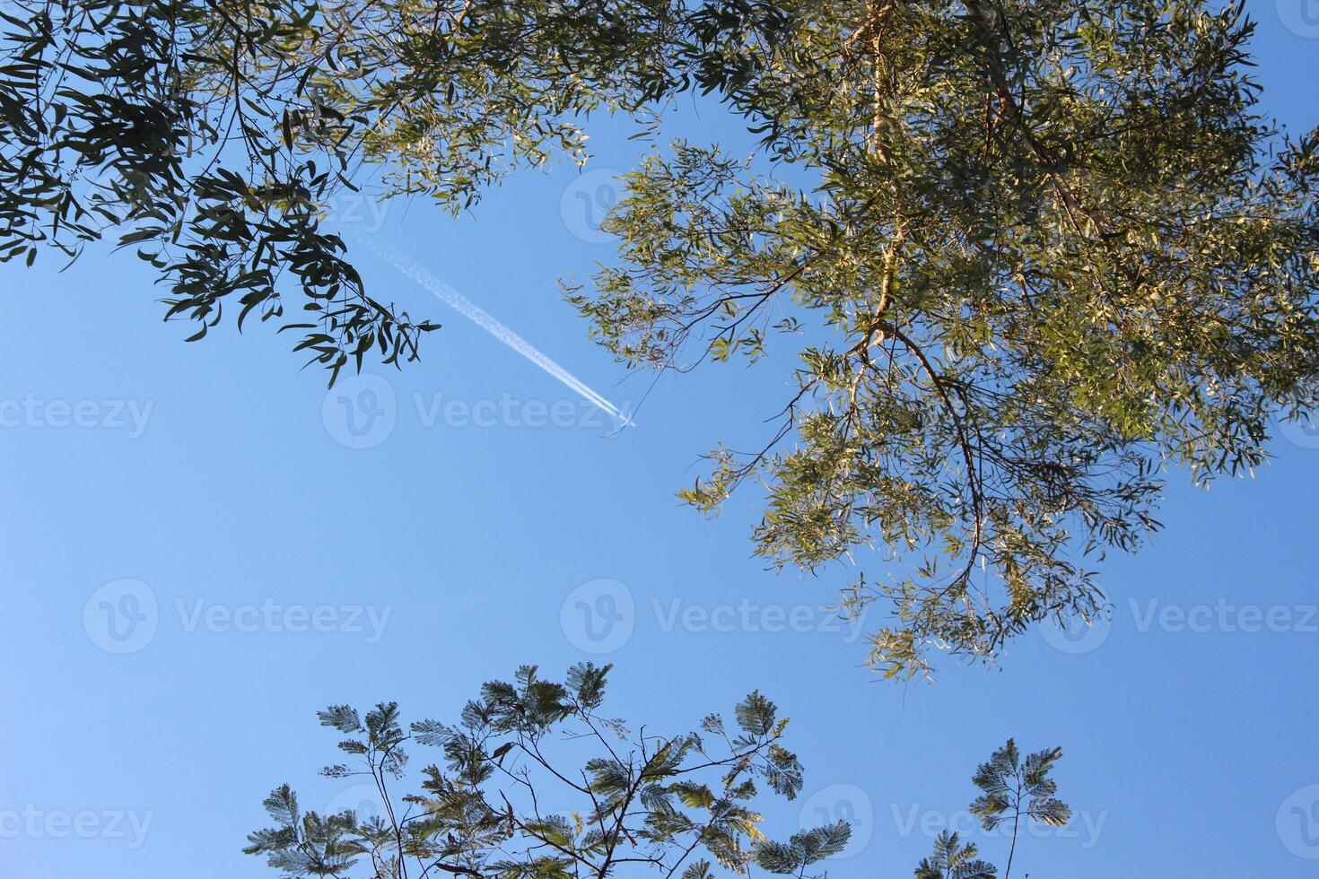 A plane flying through the sky with a contrail photo