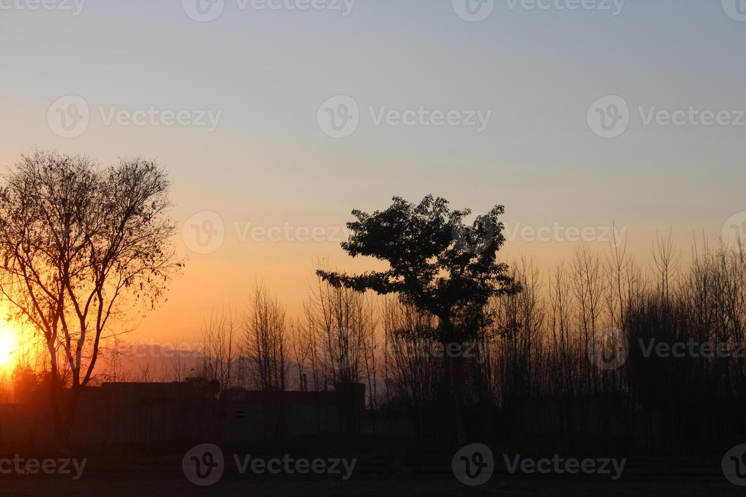 The sky is hazy photo