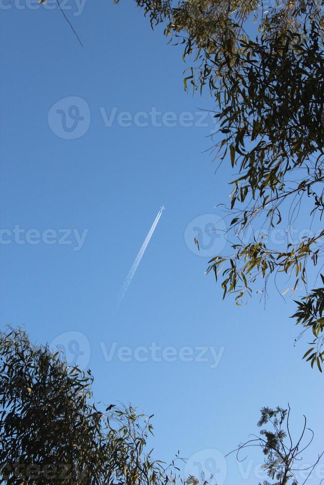A plane flying through the sky above some trees photo