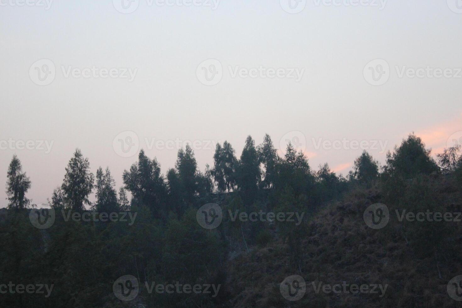 A plane flying over a hill with trees in the background photo