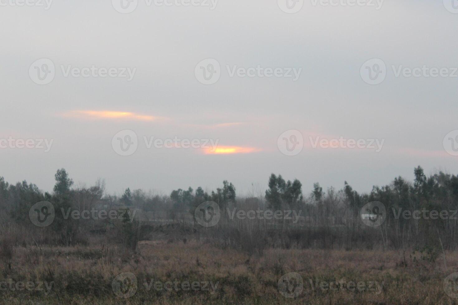 A field with a few trees and a plane flying over it photo