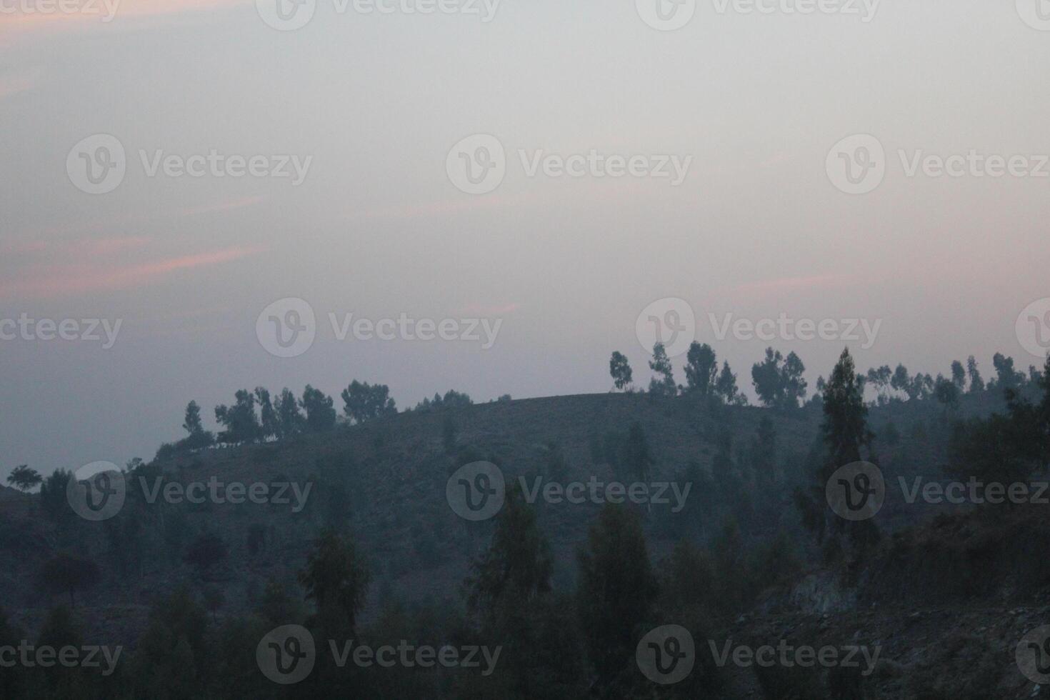 A large hill with trees on it photo