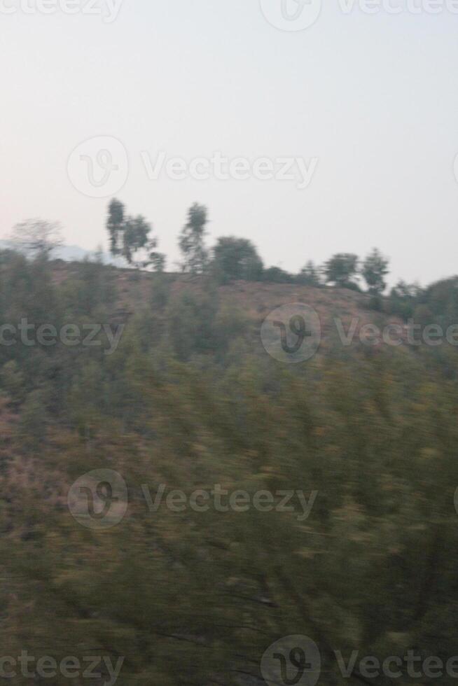 A view of a hillside with trees and a road photo