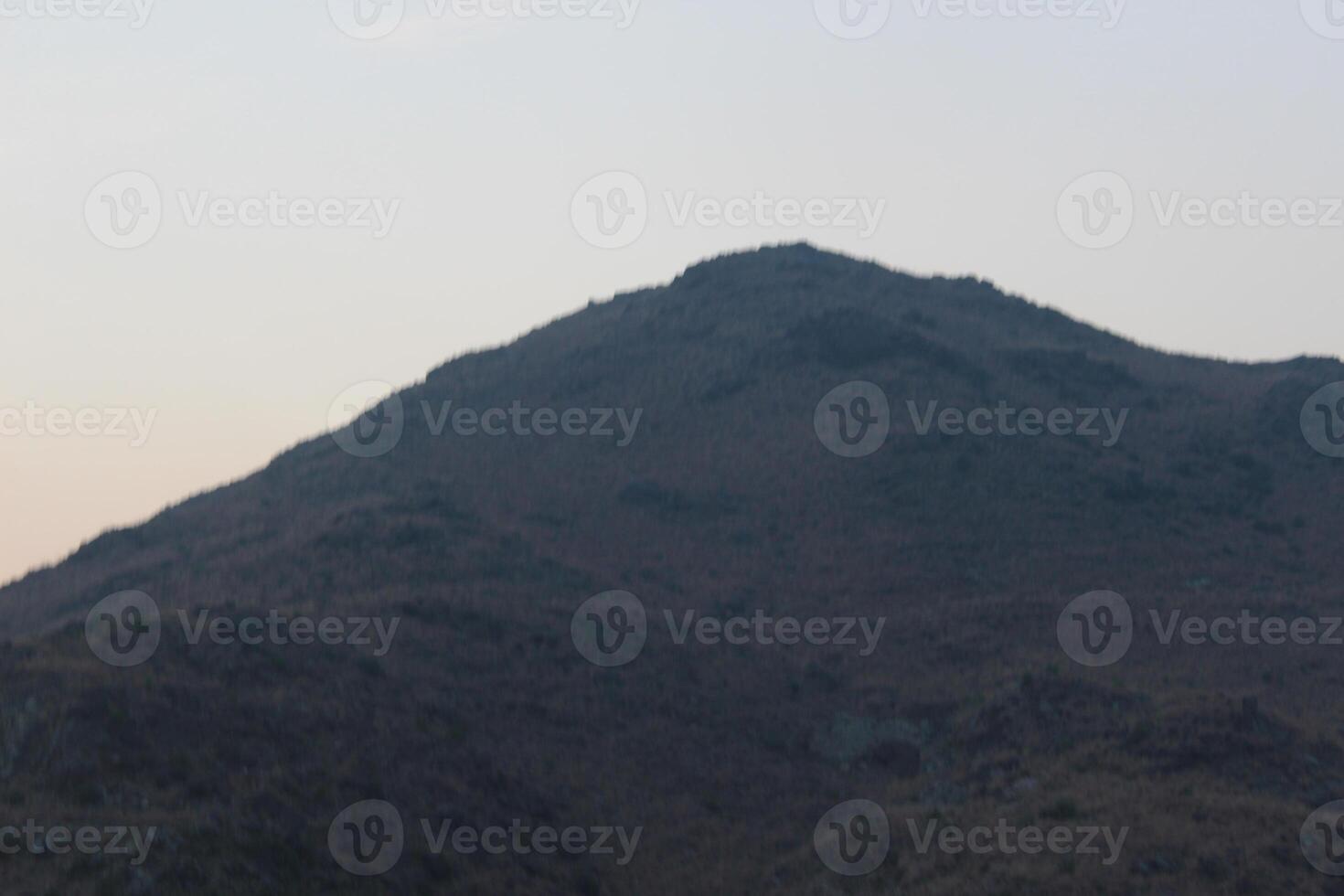 A person flying a kite on a hill. photo