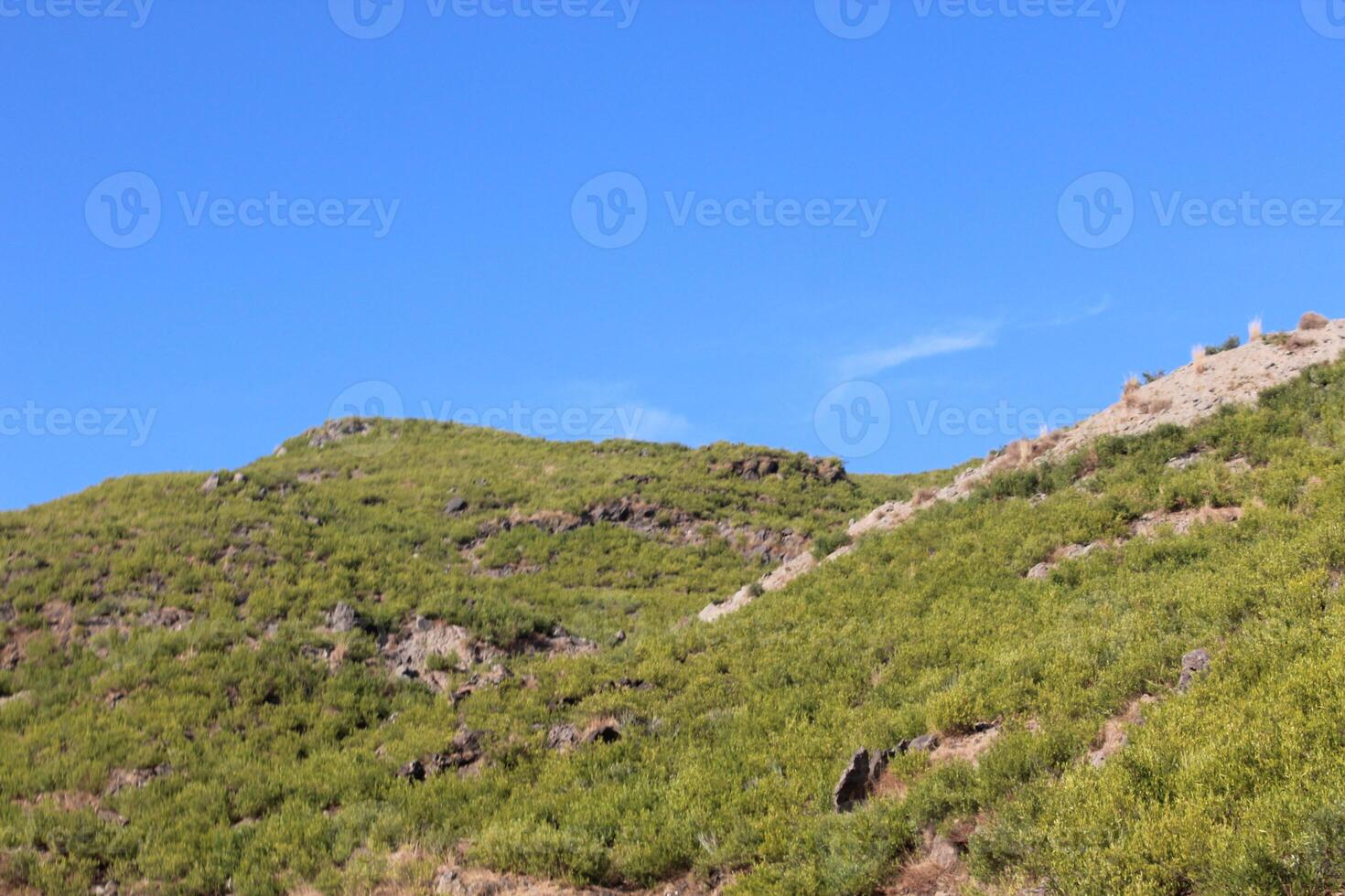 A mountain with a few trees and a sky photo