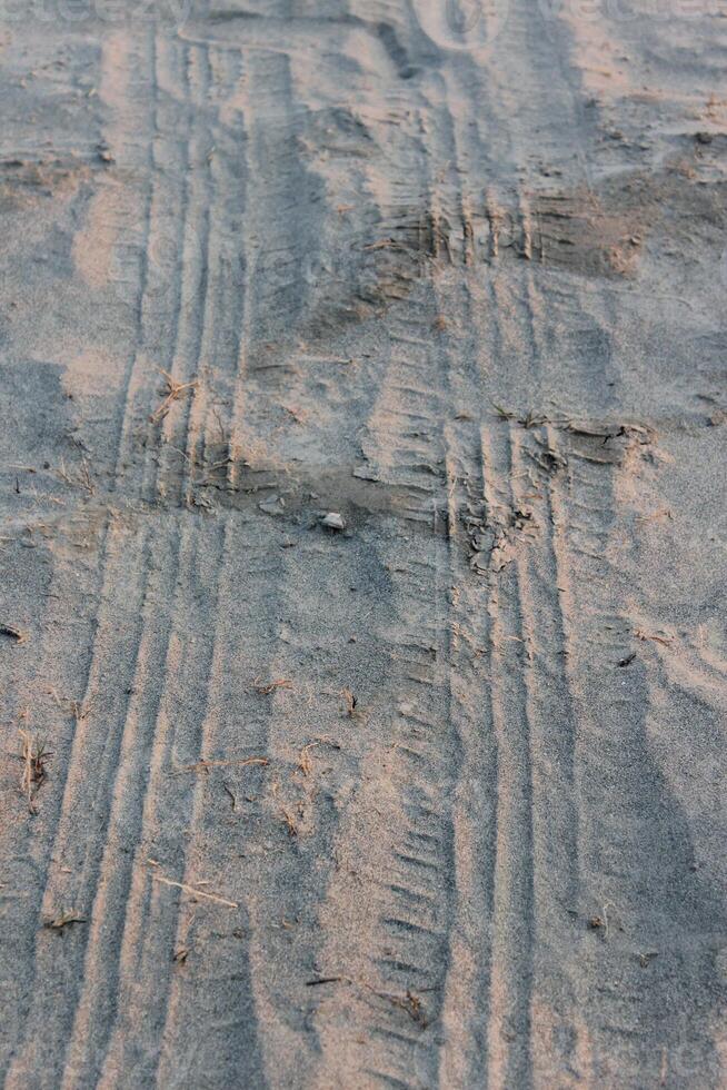 A close up of a wall with some lines on it photo