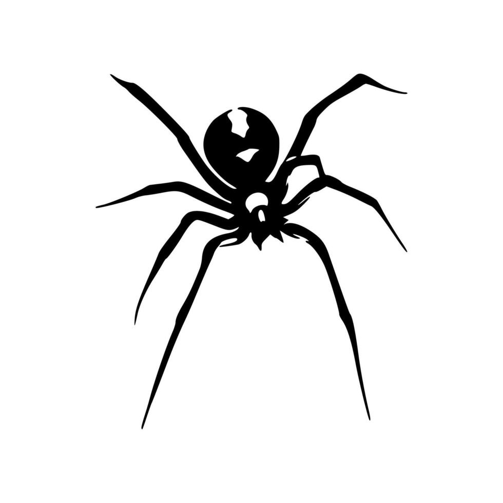 A black spider on a white background vector