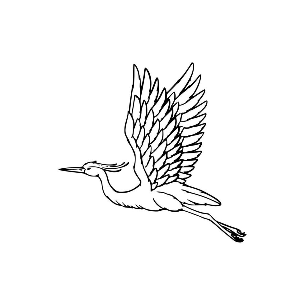 A drawing of a heron flying in the air vector