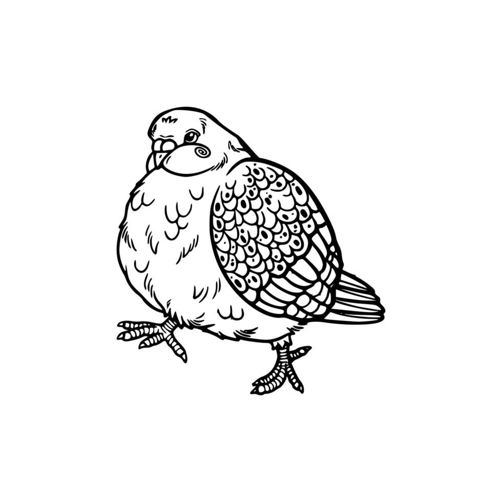 A black and white drawing of a bird vector