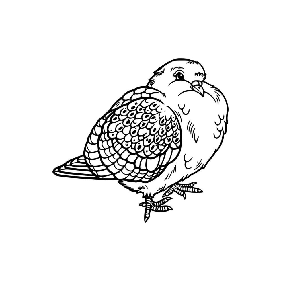 A black and white drawing of a bird vector
