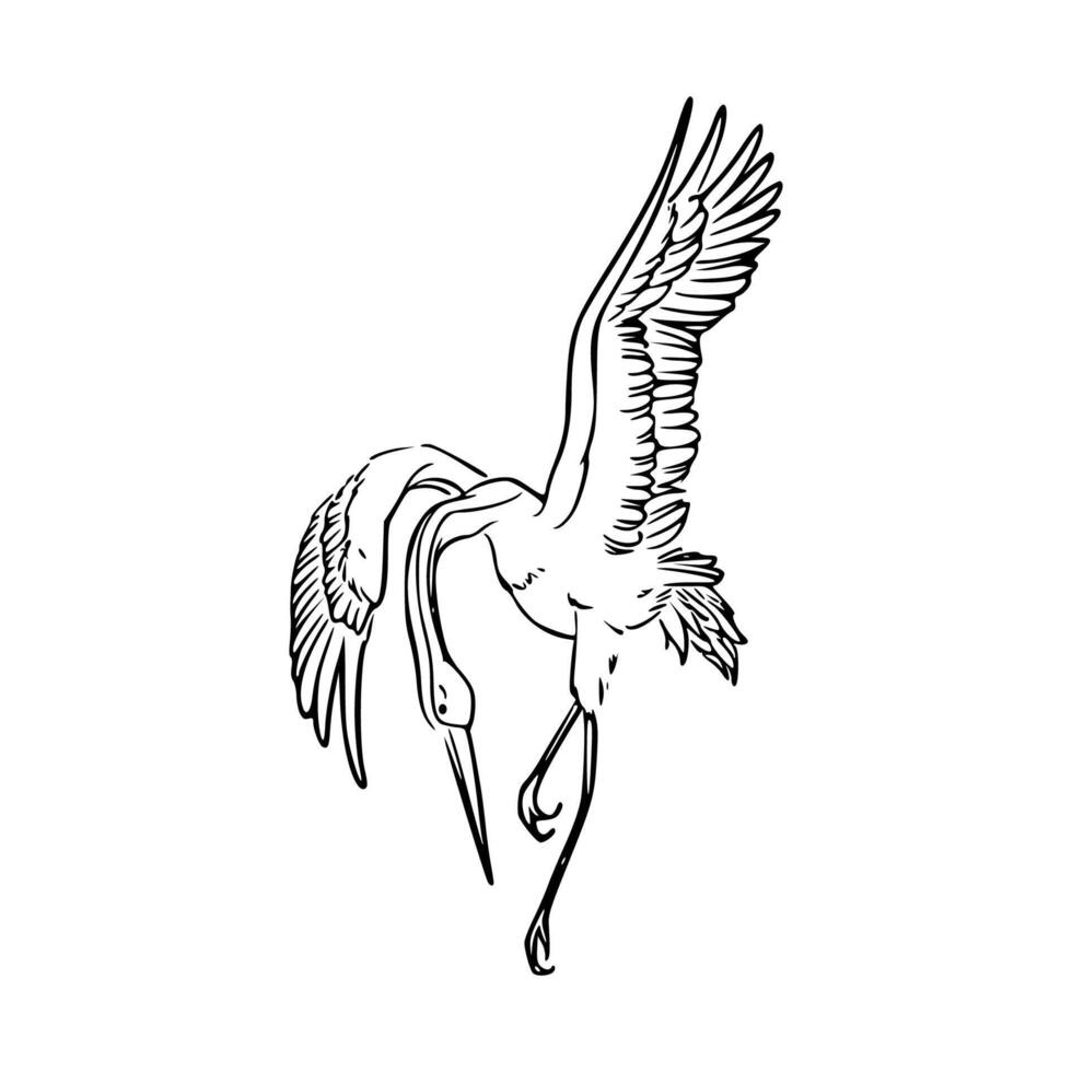 A drawing of a crane with its wings spread vector