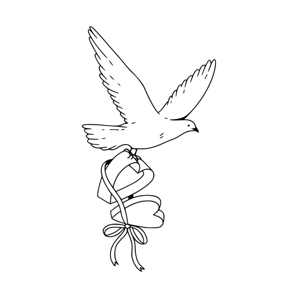 A drawing of a dove with a ribbon vector