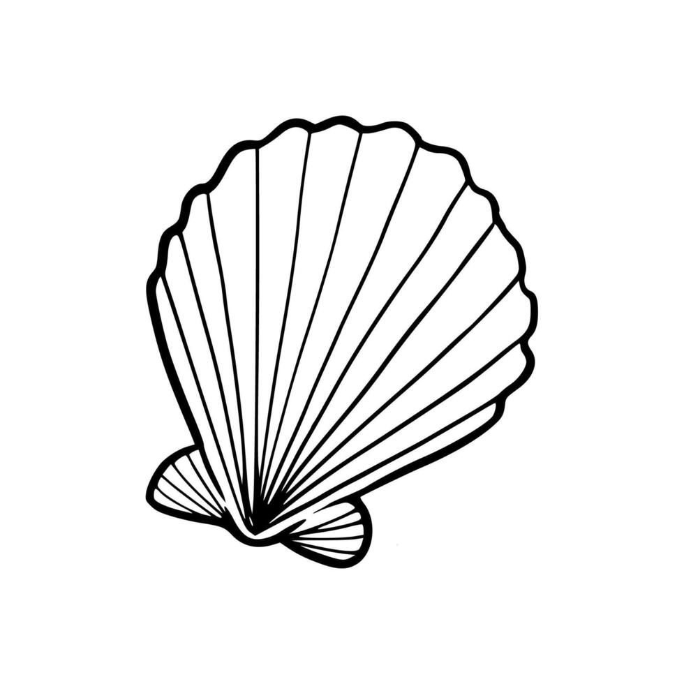 A black and white drawing of a shell vector