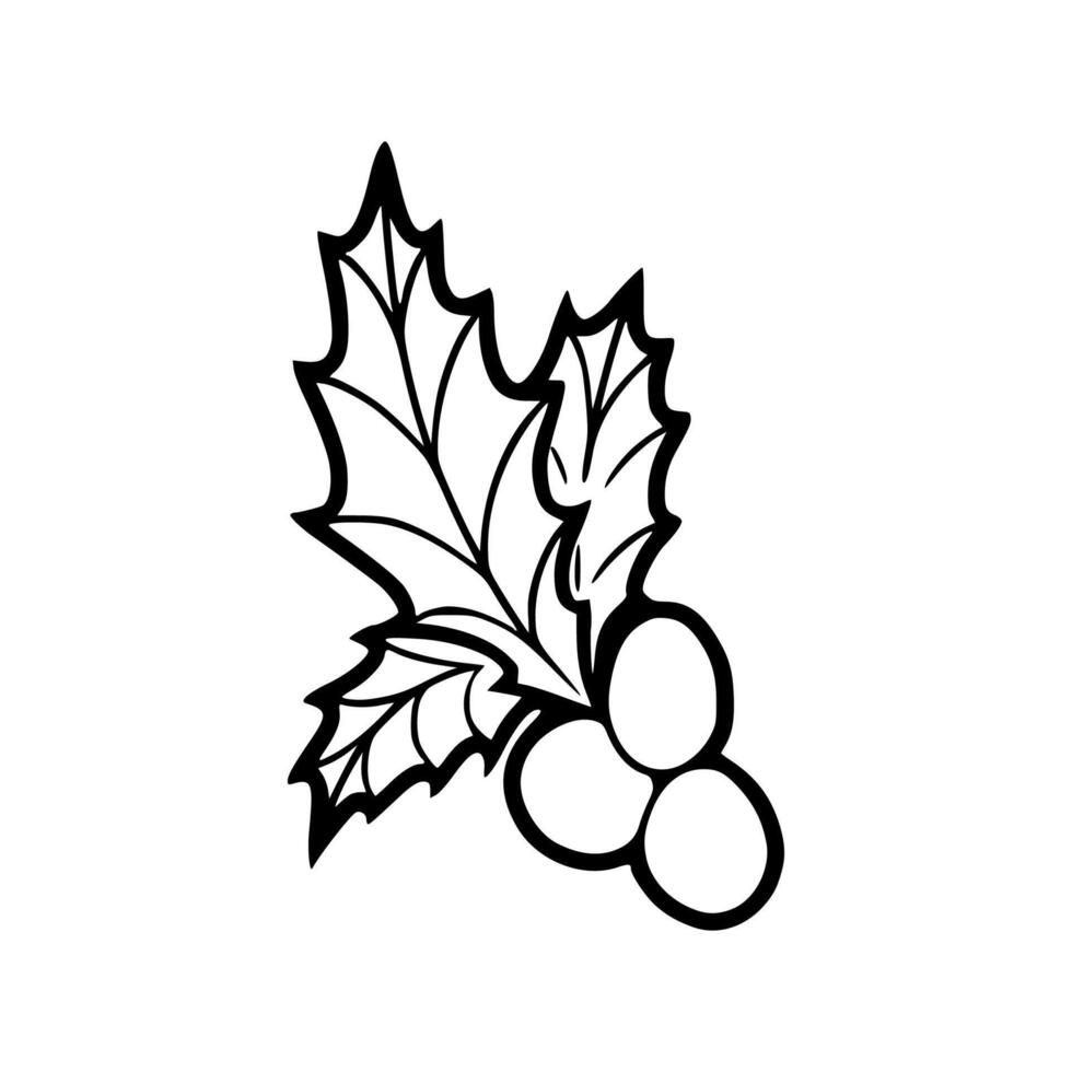 Christmas holly leaf coloring pages vector
