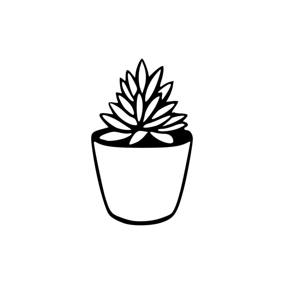 Succulent plant in pot icon illustration vector
